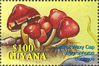 Briefmarke