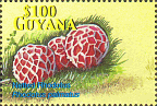 Briefmarke