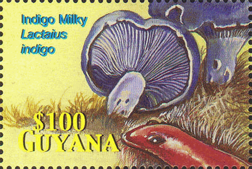Briefmarke