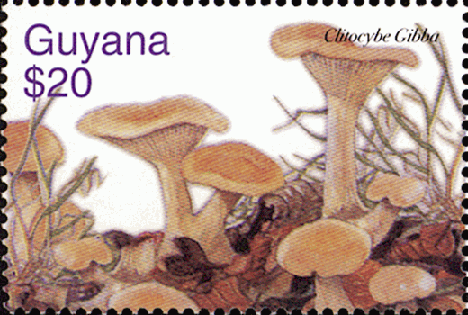 Briefmarke
