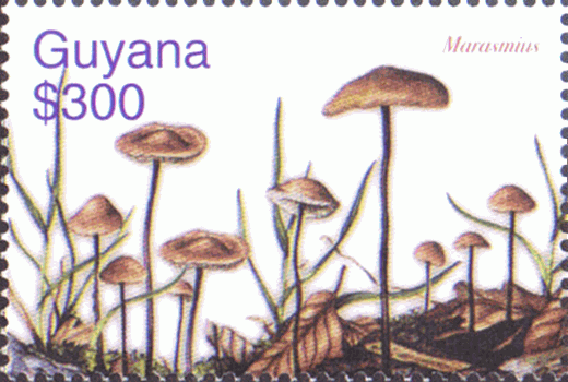Briefmarke
