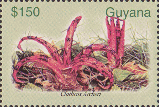 Briefmarke
