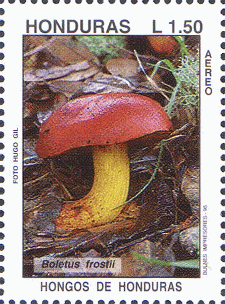 Briefmarke