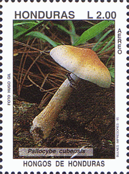 Briefmarke