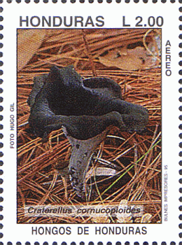 Briefmarke