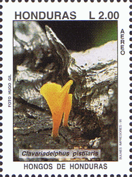 Briefmarke