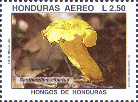 Briefmarke