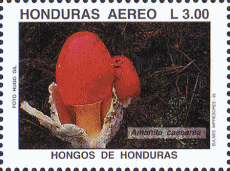 Briefmarke