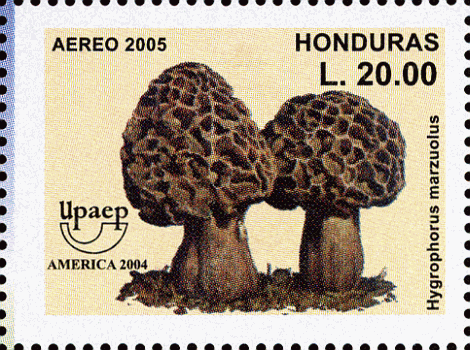 Briefmarke