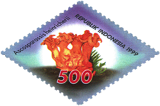 Briefmarke