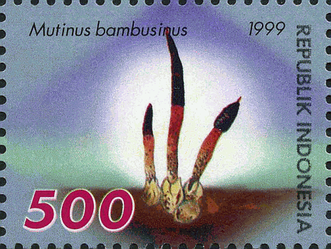 Briefmarke
