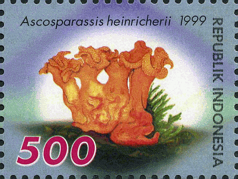 Briefmarke