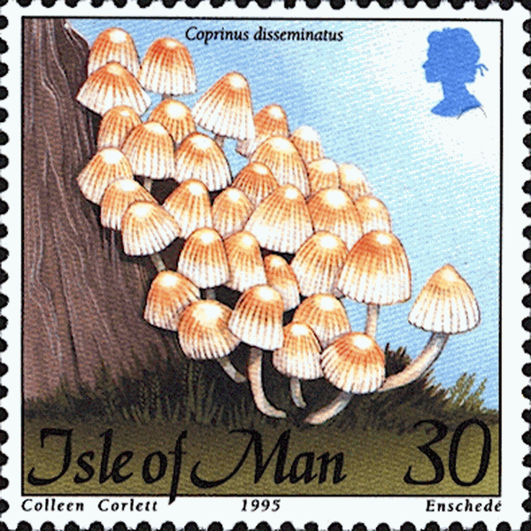 Briefmarke