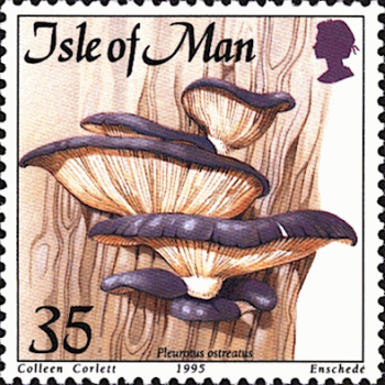 Briefmarke