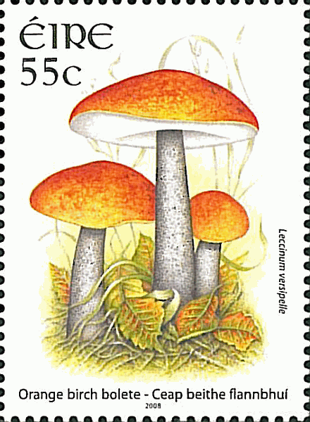 Briefmarke