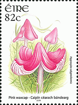 Briefmarke