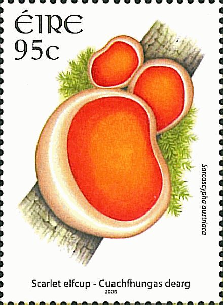 Briefmarke