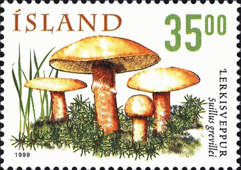 Briefmarke