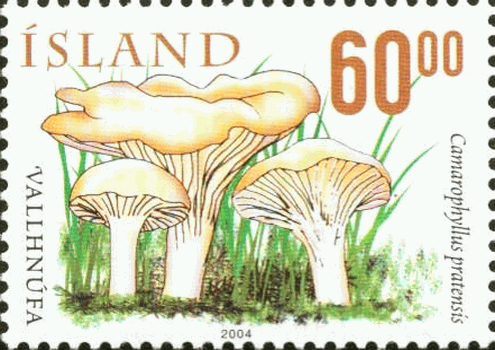 Briefmarke