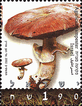 Briefmarke