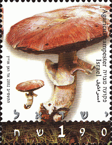 Briefmarke