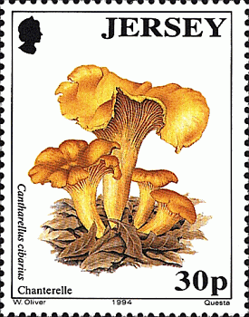 Briefmarke
