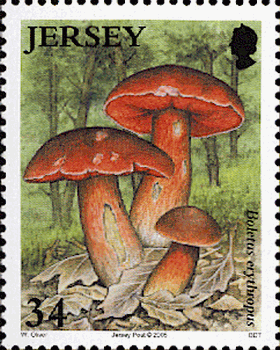 Briefmarke
