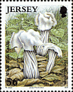 Briefmarke