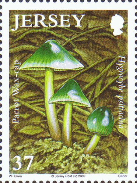 Briefmarke