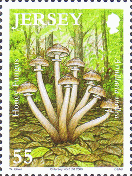 Briefmarke