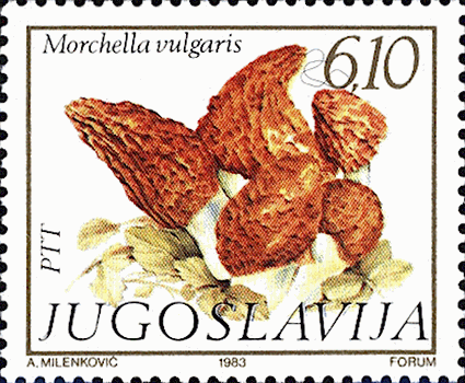 Briefmarke