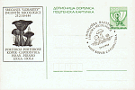 Ganzsachenkarte