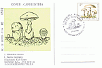 Sonderpostkarte