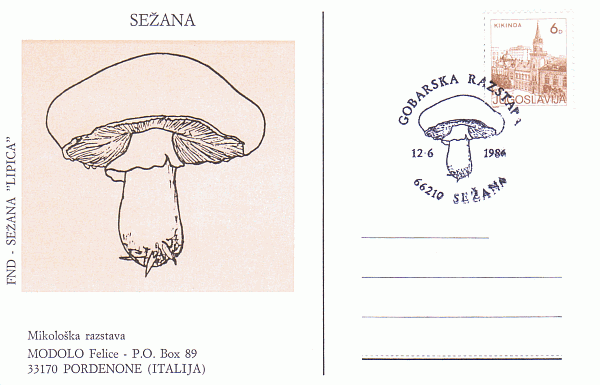 Sonderpostkarte