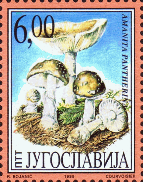 Briefmarke