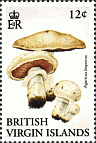 Briefmarke
