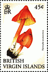 Briefmarke