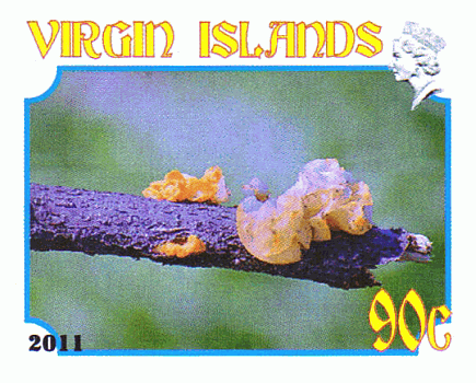 Briefmarke