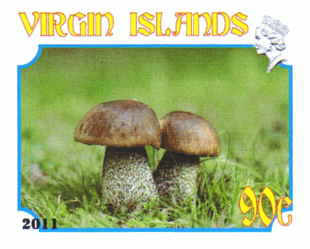 Briefmarke