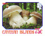 Briefmarke
