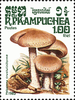Briefmarke