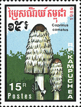 Briefmarke