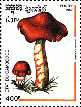 Briefmarke