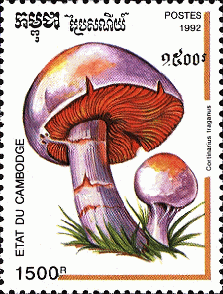 Briefmarke