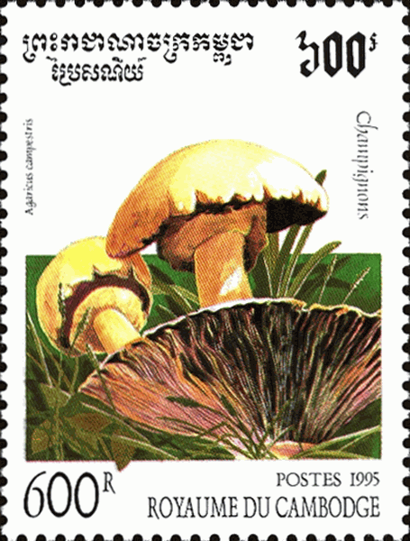 Briefmarke