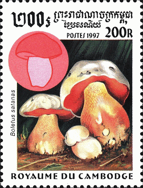 Briefmarke