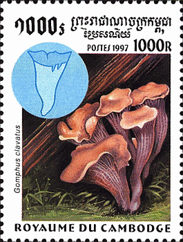 Briefmarke