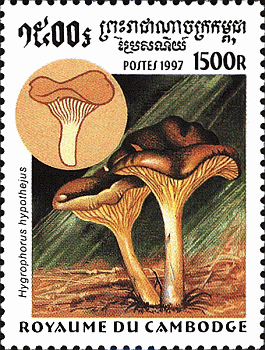 Briefmarke