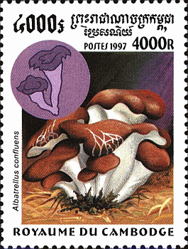 Briefmarke