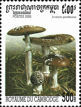 Briefmarke